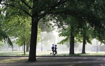 För första gången har grönytorna i Sveriges tätorter kartlagts.