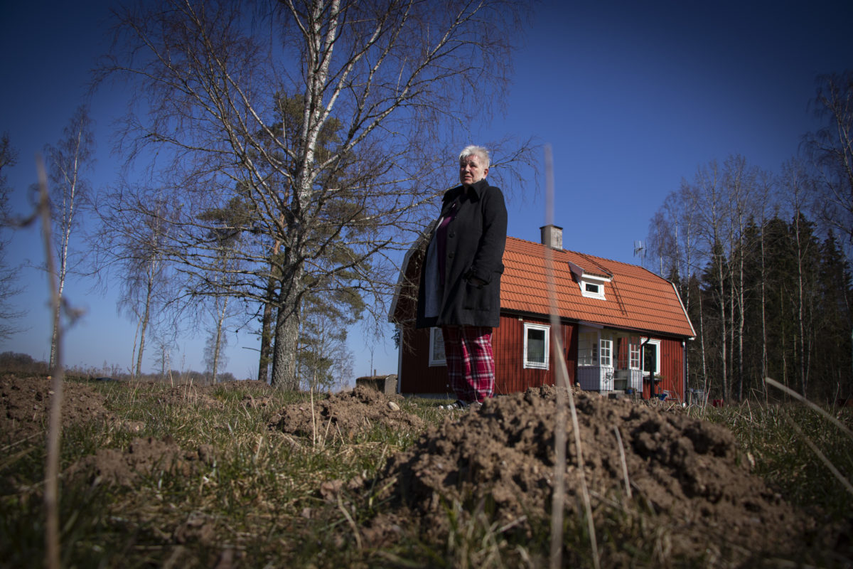 Mullvadar Förstörde Trädgården – Värden Slipper Ta Ansvar - Hem & Hyra