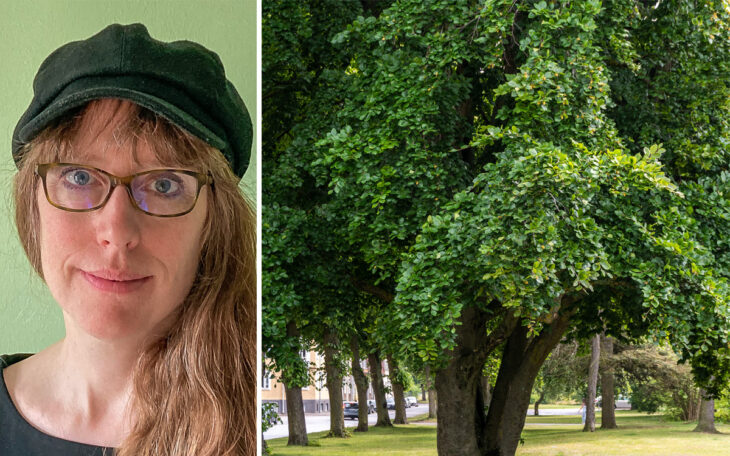 Bilden är ett montage av två bilder. Bilden visar kommunekolog Malin Askelöf, samt träd.