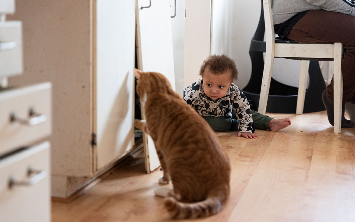 En katt som sticker in tassen bakom en lös kökslucka som står lutad och iakttas av ett barn i ettårsåldern som sitter på golvet i ett kök.