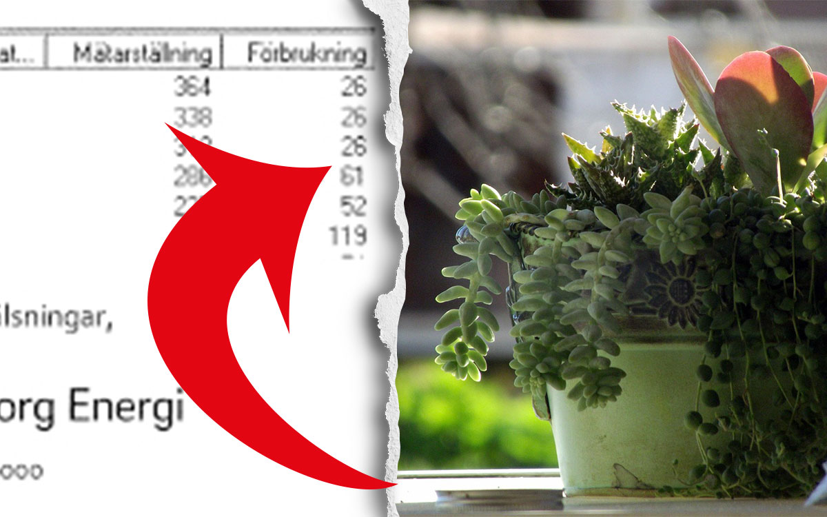 När blomvakten lämnade tillbaka nyckeln sjönk lägenhetens elförbrukning till en mycket låg nivå. Normalförbrukningen för en lägenhet brukar i genomsnitt ligga på åtminstone 170 kWh i månaden, ofta mer.